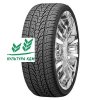 Шина Nexen Roadian HP 255/30R22 95 V TL