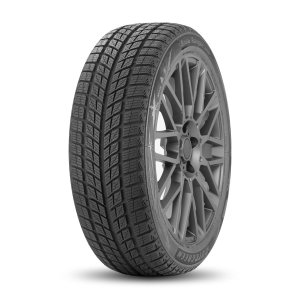 Шина Autogreen Snow Ranger AW09 235/55R20 102 H