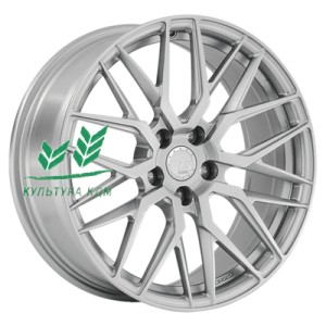 Диск LS Forged LS FG04 SS 8x18/5x112 ET25 D66,6