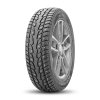 Шина Ecovision W686 185/65R15 88 T